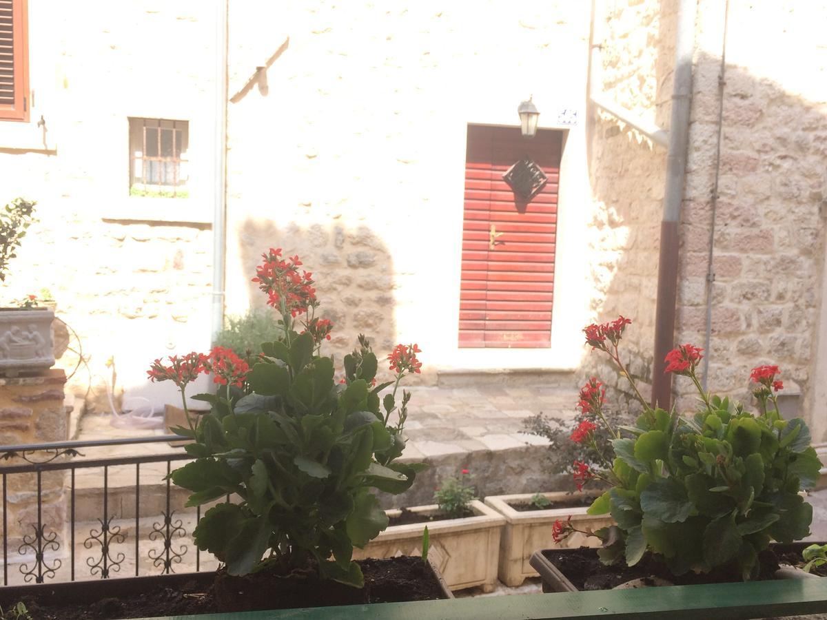 Apartment Ozana Kotor Luaran gambar